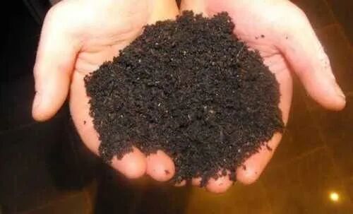 Vermicompost